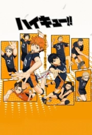 Haikyuu!! OAD