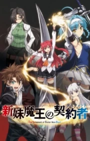 Shinmai Maou no Testament Specials