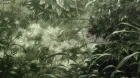 Mushishi episodio 17