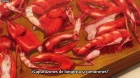 Food Wars - Shokugeki no Souma: Ni no Sara episodio 2