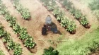 Mugen no Juunin: Immortal episodio 24