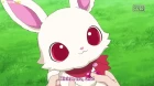 Lady Jewelpet episodio 51