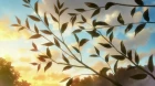 Kimi ni Todoke 2nd Season episodio 4